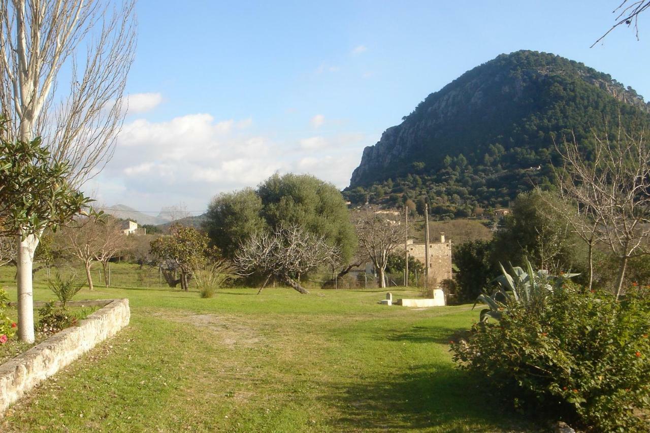 Can Petrel Pollenca Bagian luar foto